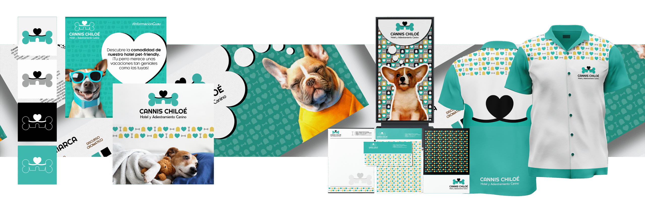 Asesoría Gráfica Profesional-Cannis Chiloé 02